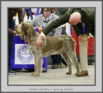 Filename=S_Valentino.jpg
Filesize=574KiB
Dimensions=859x780
Date added=Mar 23, 2021 S_Valentino.jpg