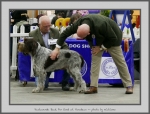 Filename=T_BackForGood.jpg
Filesize=672KiB
Dimensions=1019x780
Date added=Mar 23, 2021 T_BackForGood.jpg