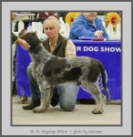 Filename=T_Ettore.jpg
Filesize=517KiB
Dimensions=760x780
Date added=Mar 23, 2021 T_Ettore.jpg