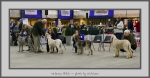 Filename=VB.jpg
Filesize=484KiB
Dimensions=1040x542
Date added=Mar 23, 2021 VB.jpg