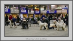 Filename=VD.jpg
Filesize=571KiB
Dimensions=1040x596
Date added=Mar 23, 2021 VD.jpg